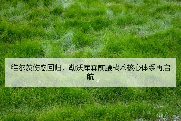 wei-er-ci-shang-yu-hui-gui-lei-wo-ku-sen-qian-yao-zhan-shu-he-xin-ti-xi-zai-qi-hang-3-998.jpg