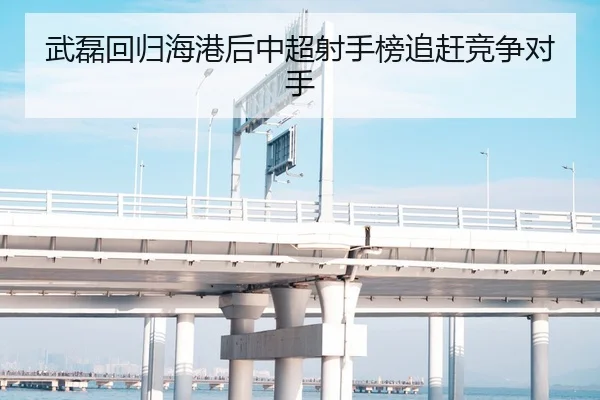 武磊回归海港后中超射手榜追赶竞争对手
