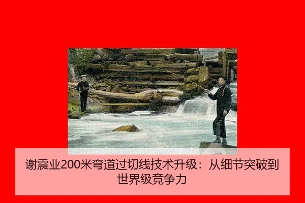 谢震业200米弯道过切线技术升级：从细节突破到世界级竞争力