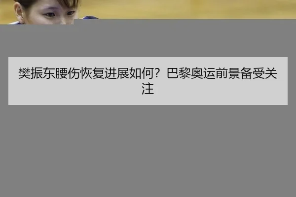 樊振东腰伤恢复进展如何？巴黎奥运前景备受关注