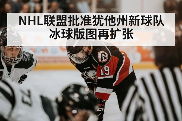 NHL联盟批准犹他州新球队 冰球版图再扩张
