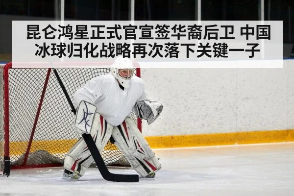 ice hockey defenseman