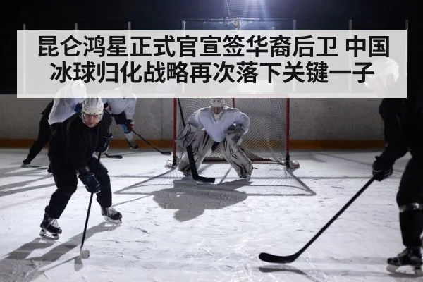 ice hockey game action